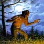 thumb_1084 (Medium).jpg